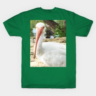 It Is Okay to be a Strange Bird T-Shirt